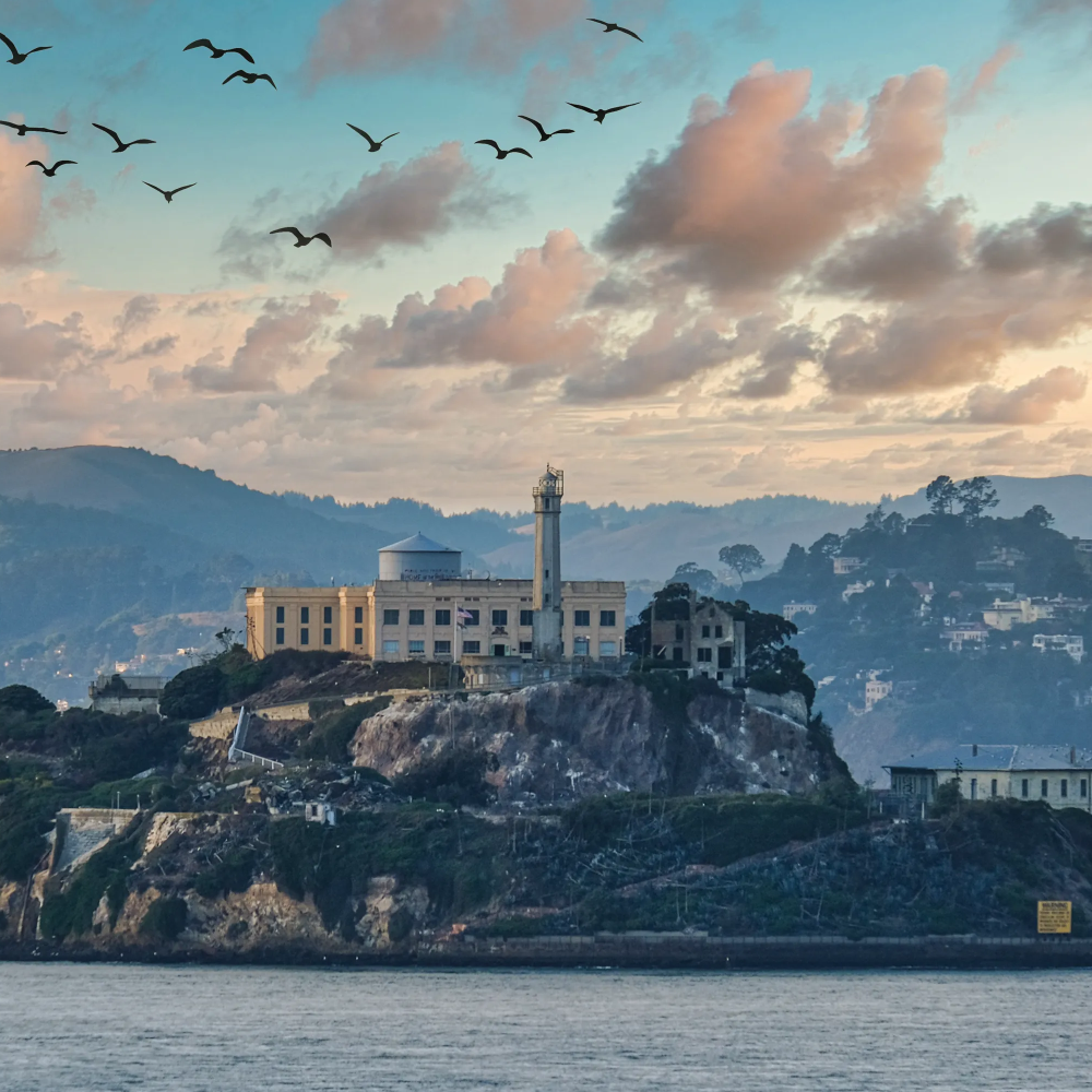 "RETURN TO ALCATRAZ"©2024