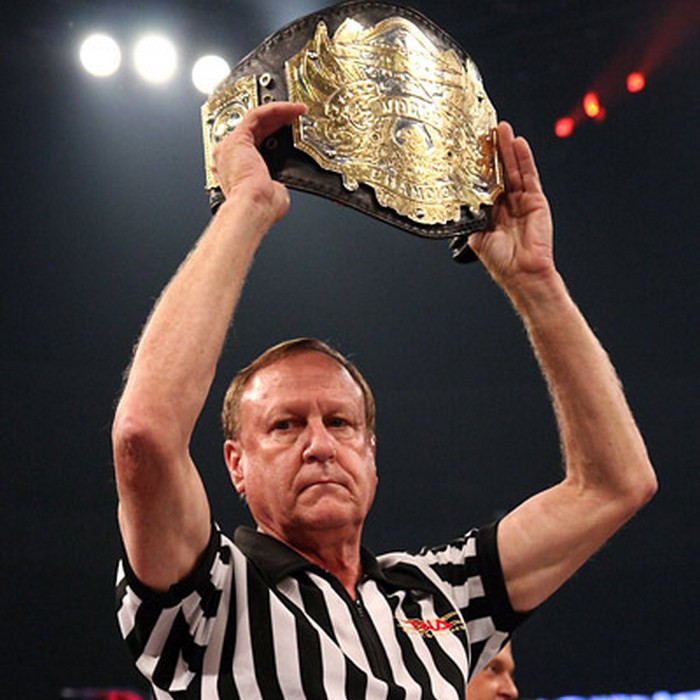 THE MODERN PRO WRESTLING REFEREE