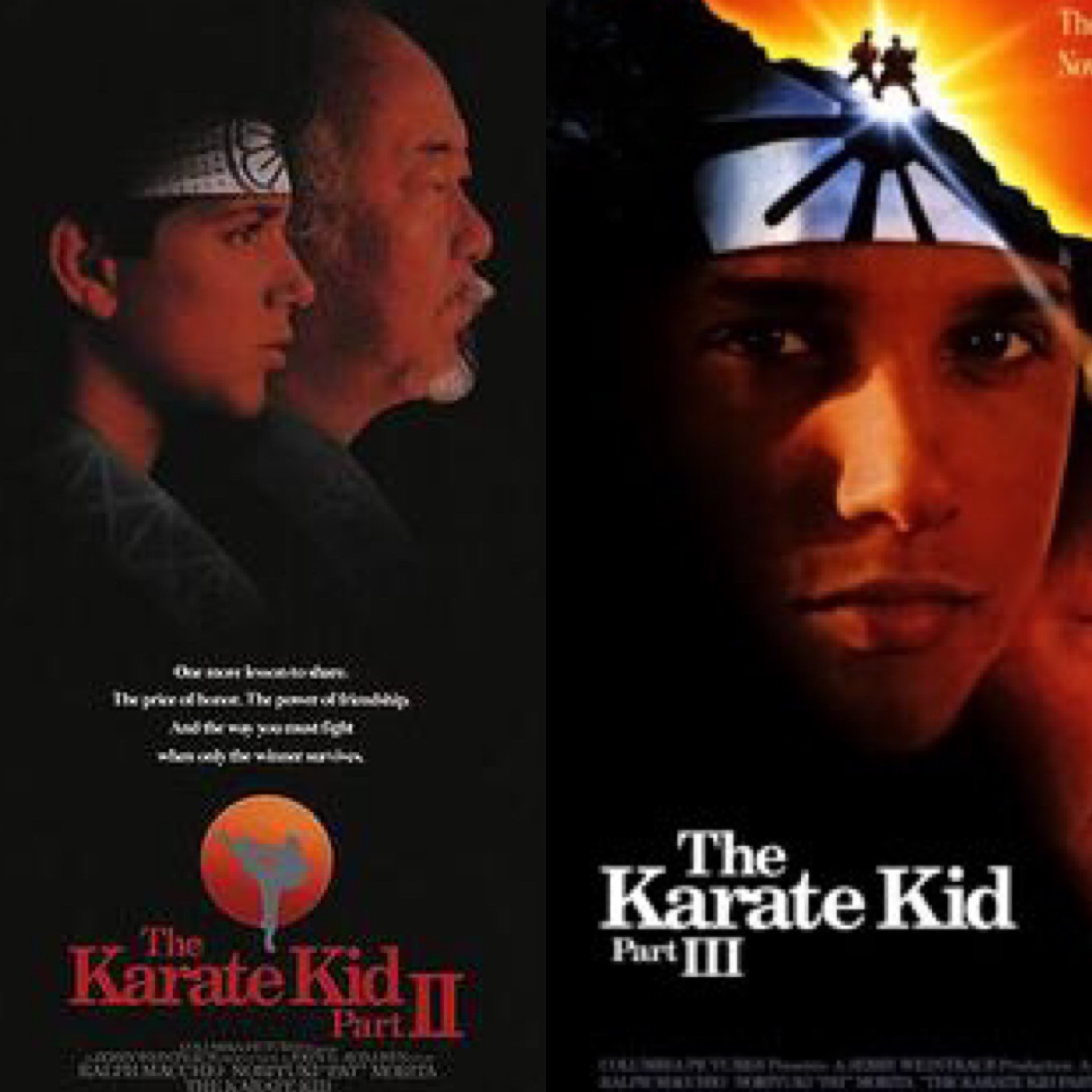 where to watch the karate kid 2 and 3