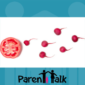 E69 - Nutrition for Fertility with Krista Parr - Parent Talk