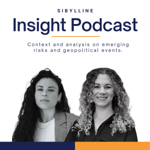 Cyber Risks in Crypto and Healthcare | Sibylline Insight EP. 27