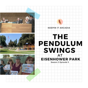 S3 #5 The Pendulum Swings At Eisenhower Park