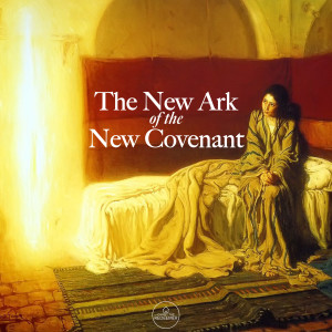 Fr. Mark | The New Ark of the New Covenant | December 8, 2019 | 2nd Sunday of Advent