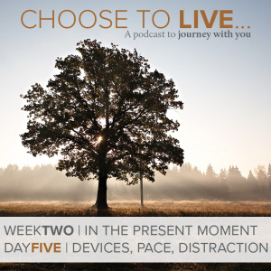 Choose to Live | Devices, Pace, Distraction