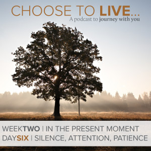 Choose to Live | Silence, Attention, Patience