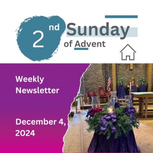 Sunday Mass 2024.12.08