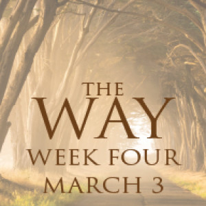 Fr. Brice | The Way | Learning to Say 