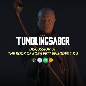 TumblingSaber Podcast - Who Is Toro Lococan?