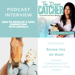 [Interview] How to Develop a Soul Connection with Animals (feat. Renée Vos de Wael)