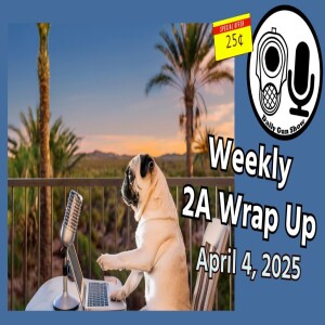Weekly 2A Wrap Up - April 4, 2025
