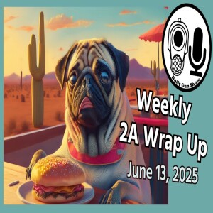 Weekly 2A Wrap Up - June 13, 2025