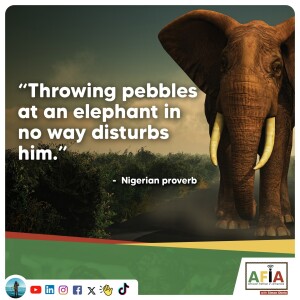 Throwing Pebbles at an Elephant | African Proverbs | AFIAPodcast