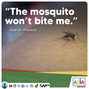 Their Mosquito Won’t Bite Me | African Proverbs | AFIAPodcast