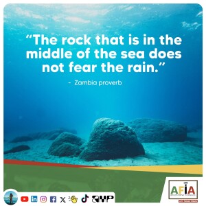 The Rock That Doesn’t Fear the Rain: A Zambian Proverb for Resilience | AFIAPodcast