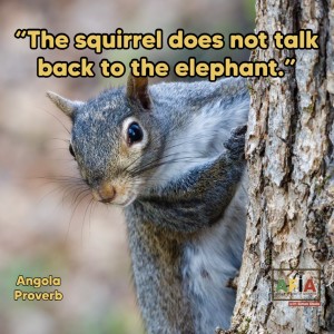 The squirrel does not talk back to the elephant | Why You Shouldn’t Fight Every Battle | AFIAPodcast
