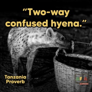 The Importance of Being Wary: The Two-Way Confused Hyena in African Proverbs | AFIAPodcast