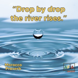 Drop by drop the river rises (How to make a difference by taking one small step at a time)