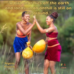 A bird that flies off the earth & lands on an anthill is... (3 Steps To Bounce Back After Failure)