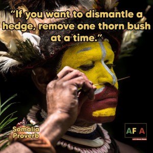 If you want to dismantle a hedge, remove one thorn bush at a time | AFIA Podcast