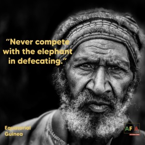 Never compete with the elephant in defecating l African Proverbs and their meanings