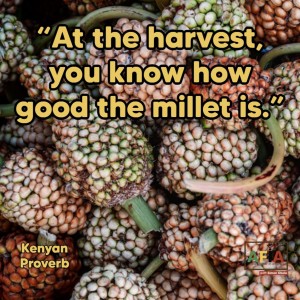 The Power of Grit | At the harvest, you know how good the millet is | AFIAPodcast
