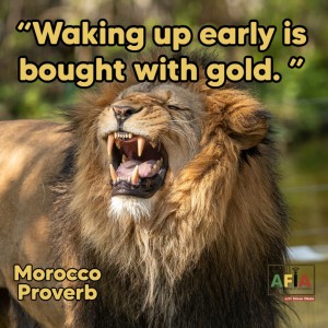The benefits of waking up early (Waking up early is bought with gold. ) | AFIA Podcast