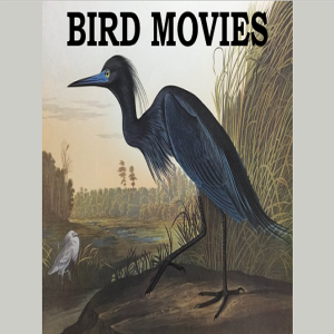 S5E23 Film Takes Flight: Bird Movies