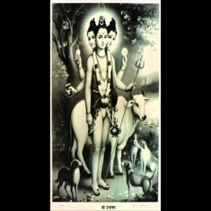 Story - The 24 Gurus of Avadutha Guru Dattatreya