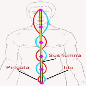 Story - Kundalini Yoga - Ida and Pingala