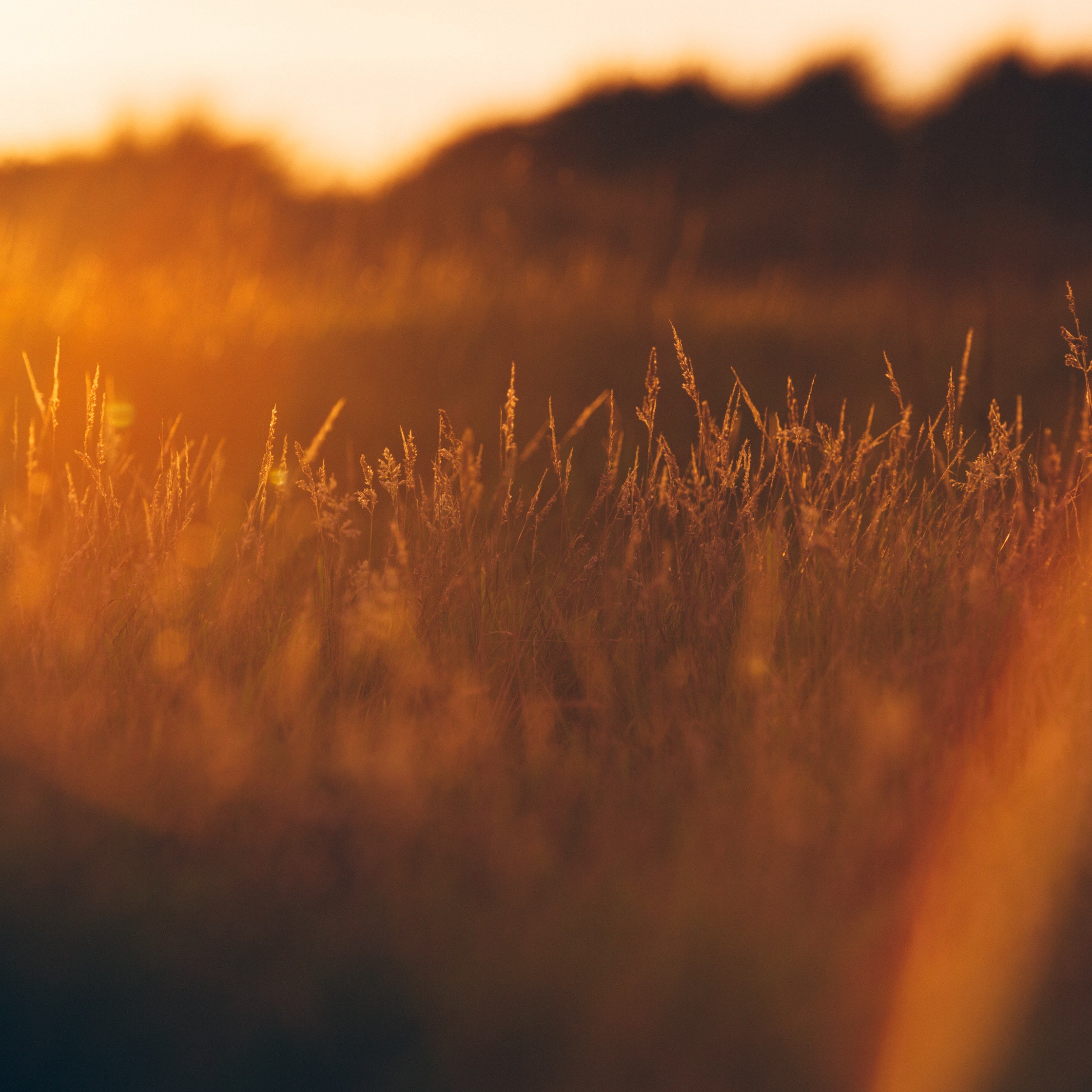 How Christians Shine