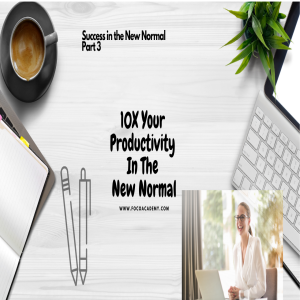 Success In The New Normal Pt 3: 10X your Productivity in the New Normal