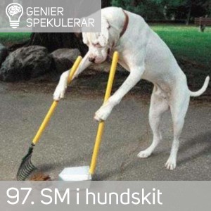 97. SM i hundskit