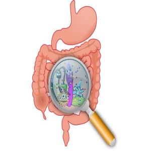 Dr Ron Unfiltered Uncensored Episode 248 Probiotics and Microbiome