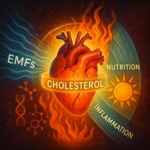 Ep 614 Inflammation, Not Cholesterol: The Real Heart Health Villain