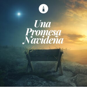 Luz y libertad - Serie: Una promesa navideña