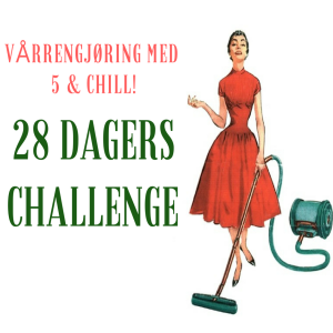 10. Vårrengjøring 28 dagers challenge