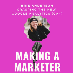 Understanding the New Google Analytics with Brie Anderson