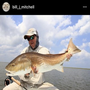 Episode 28 - Bill Mitchell