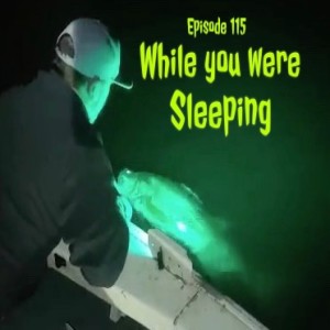 Episode 115 - While you were sleeping