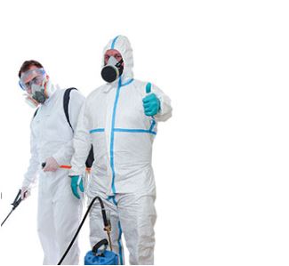 Know the Areas Prone to Pest Infestation Need Professional Attention