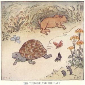  Story Time 09: The Tortoise And The Hare