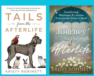 Straight From The Author 03: Past Forward with  Kristy Robinett