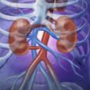 Healing Streams - Kidneys Are Healed!