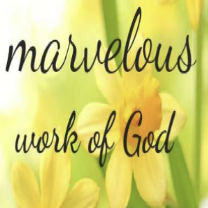 Recognize The Marvelous Works Of God- Apostle Sonya L Thompson