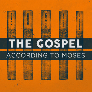 Chosen By God