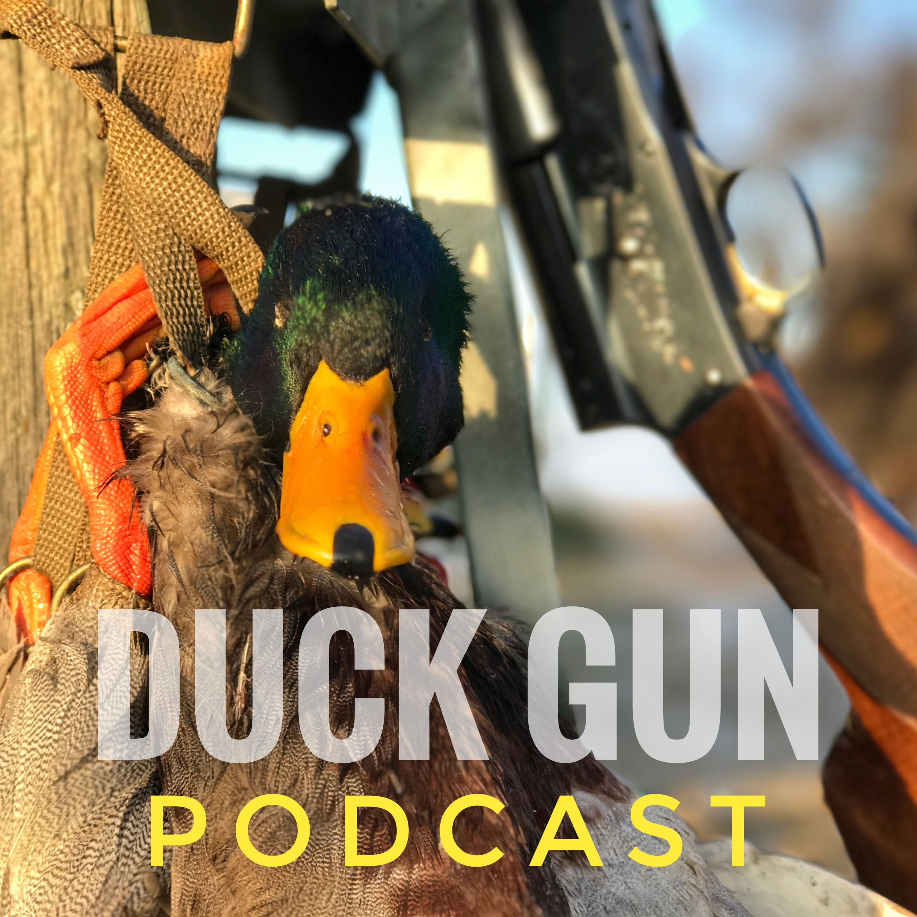 Ep.1  Duck Gun Podcast Episode 1: 10 Tips to be a better duck hunter with Virginia Outdoors Unlimited