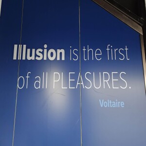 Illusion Is The First Of All Pleasures