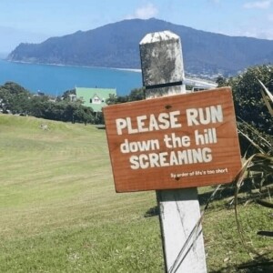 Please Run Down The Hill Screaming