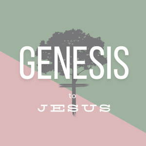 Genesis to Jesus:  The Ark of Peace