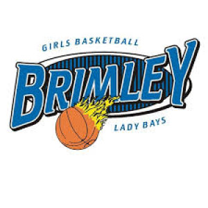 Brimley Girls vs Cedarville 1-29-19